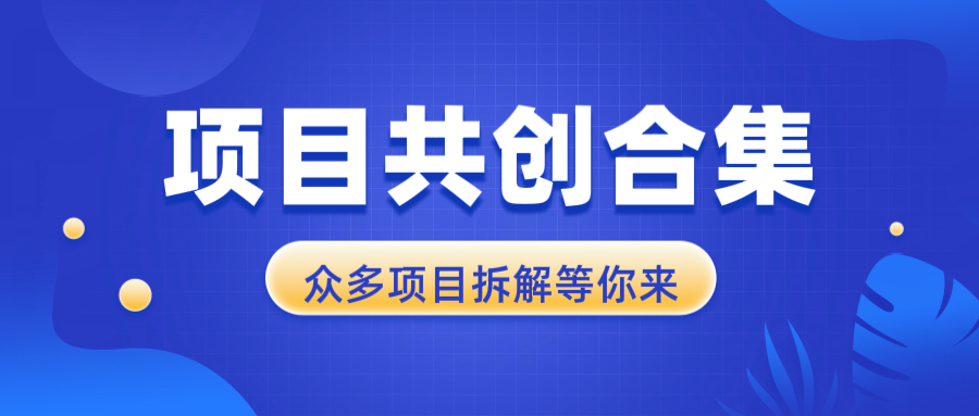 项目共创合集，从0-1全过程拆解，让你迅速找到适合自已的项目 - 中创副业网-中创副业网
